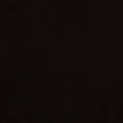 Twin Hancock Wood And Synthetic Rattan Daybed Charcoal - Baxton Studio -Outlet Baxton Studio Store GUEST 07a56c73 db8f 4e2d 8b6a fd6a1b0a0355