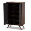 2 Door Naoki Two-Tone Wood Shoe Cabinet Gray/Walnut - Baxton Studio