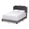 Darcy Velvet Upholstered Bed - Baxton Studio