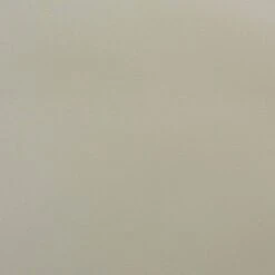 4pc Rae Plastic Stackable Dining Chair Set - Baxton Studio -Outlet Baxton Studio Store GUEST 8ab87bac 3911 49c7 87d7 dc24c5c4ad4d