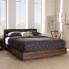 Queen Iselin Finished Storage Platform Bed Dark Gray/Walnut Brown - Baxton Studio