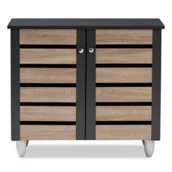 Gisela 2 - Door Shoe Storage Cabinet Dark Gray - Baxton Studio