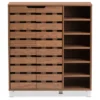 Shirley Modern And Contemporary 2 - Door Shoe Cabinet With Open Shelves - Walnut Brown - Baxton Studio